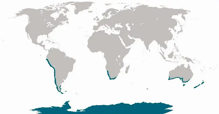 Unique global comparisons and world travel contrasts