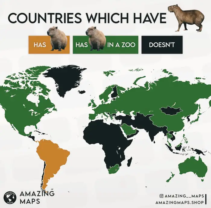 Unique global comparisons and world travel contrasts