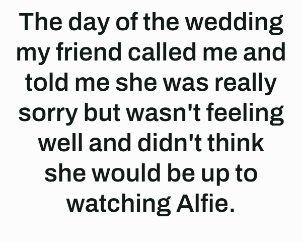 Child at Sister's Childfree Wedding Due to Emergency