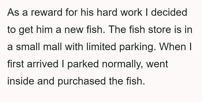 Parent parks in disabled spot to save fish